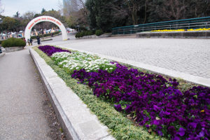 マイお皿持参で、参加したいなぁ