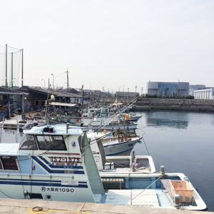 漁業体験が出来ます!