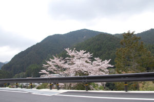 トンネルを抜けると、一気に大自然が広がります！