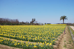 和泉市にある「和泉リサイクル環境公園」に行ってきました。